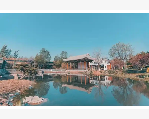 中药除湿气的奥秘