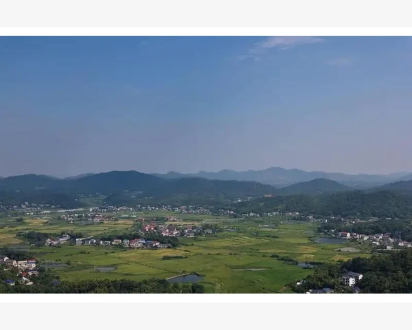 以“鸡蛋煎蜂蜜：中医止咳化痰的有效选择”为题