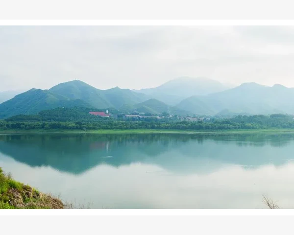 皮肤敏感发红：中医传统调理方法让你重拾健康肌肤