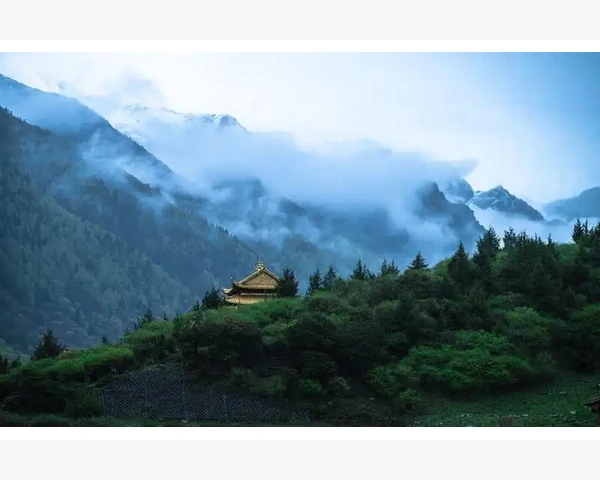 中药青蒿方剂歌诀及其功效